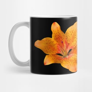 orange lily flower, lilies, garden, nature, bloom Mug